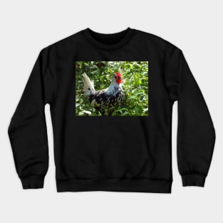 Silver Spangled Hamburg Crewneck Sweatshirt